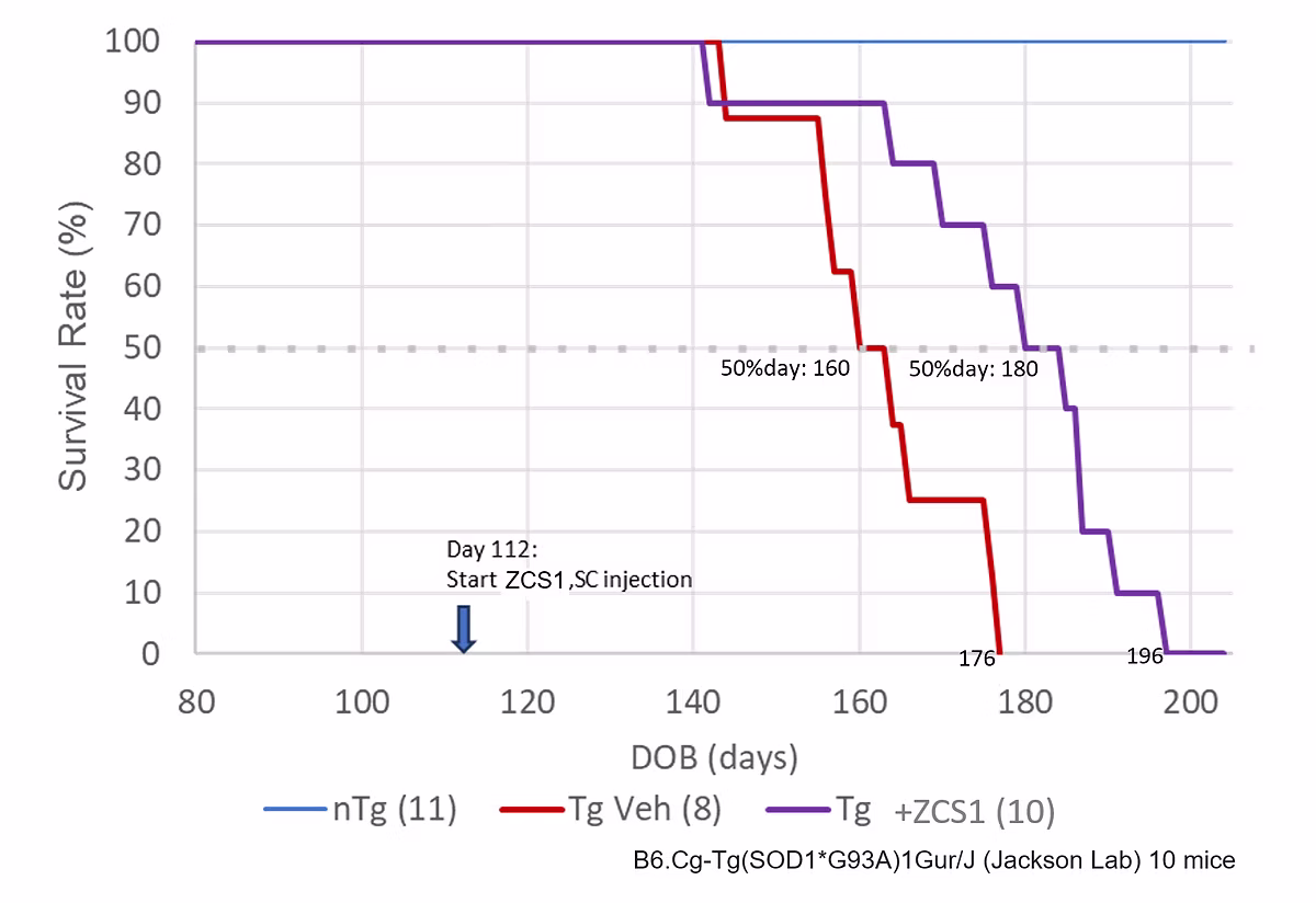 Survival Rate Graph